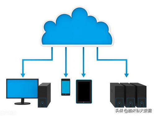 大数据的发展前景 网络技术服务驱动的未来图景
